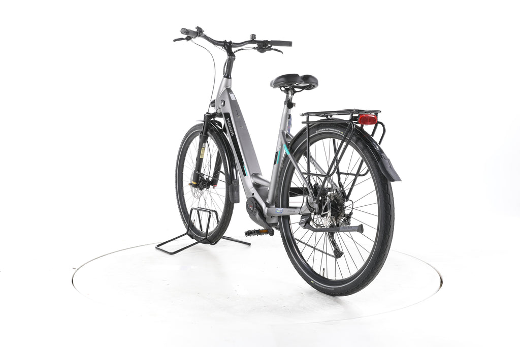 Pegasus EVO CX Trekking E-Bike Tiefeinsteiger - Image 9