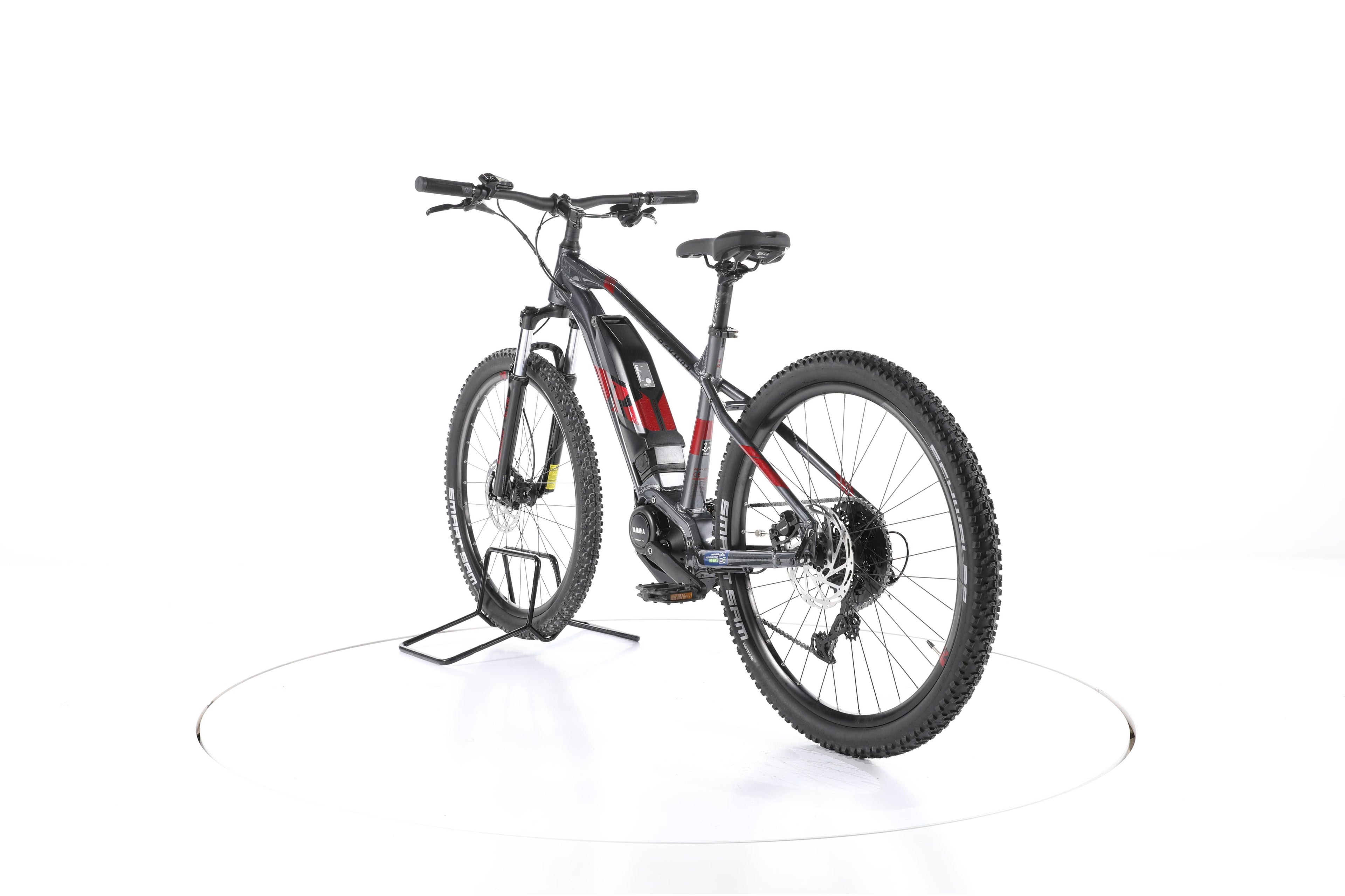 R Raymon HardRay E 3.0 E-Bike - Image 9