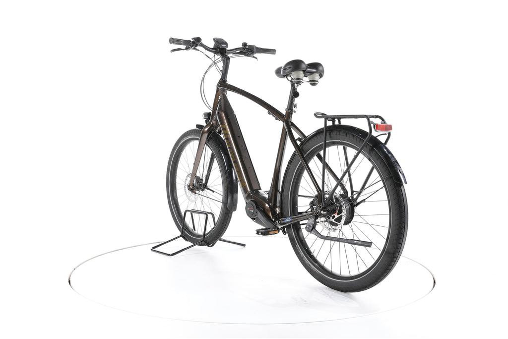 Diamant Opal Esprit+ City E-Bike - Image 9