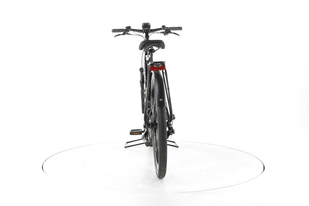 Conway Cairon T 3.0 Trekking E-Bike Tiefeinsteiger - Image 10