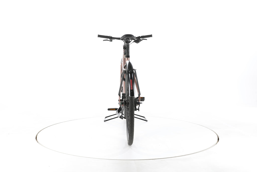 Riese & Müller UBN seven City E-Bike - Image 10