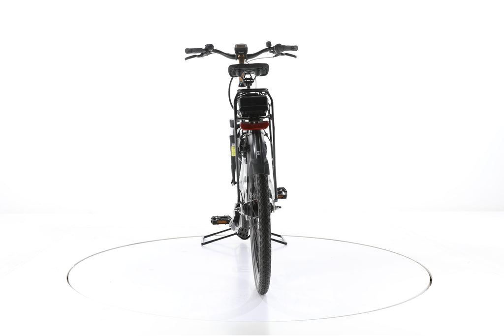 Gudereit EC-4 RT City E-Bike Tiefeinsteiger - Image 10