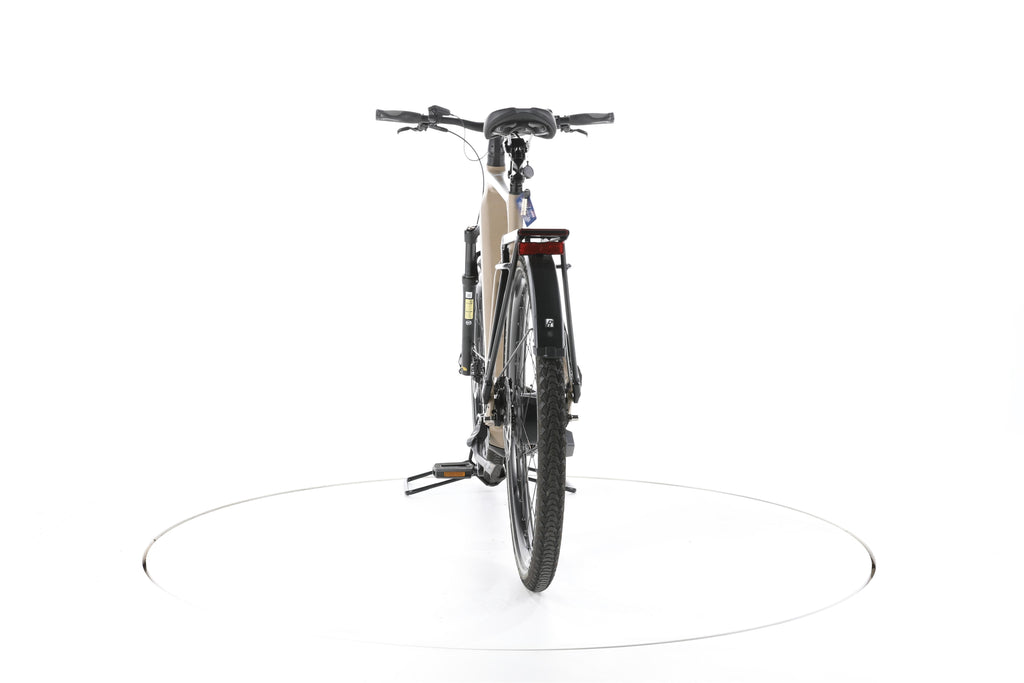Rose Mayor Plus 3 Trekking E-Bike 2024 - Image 10