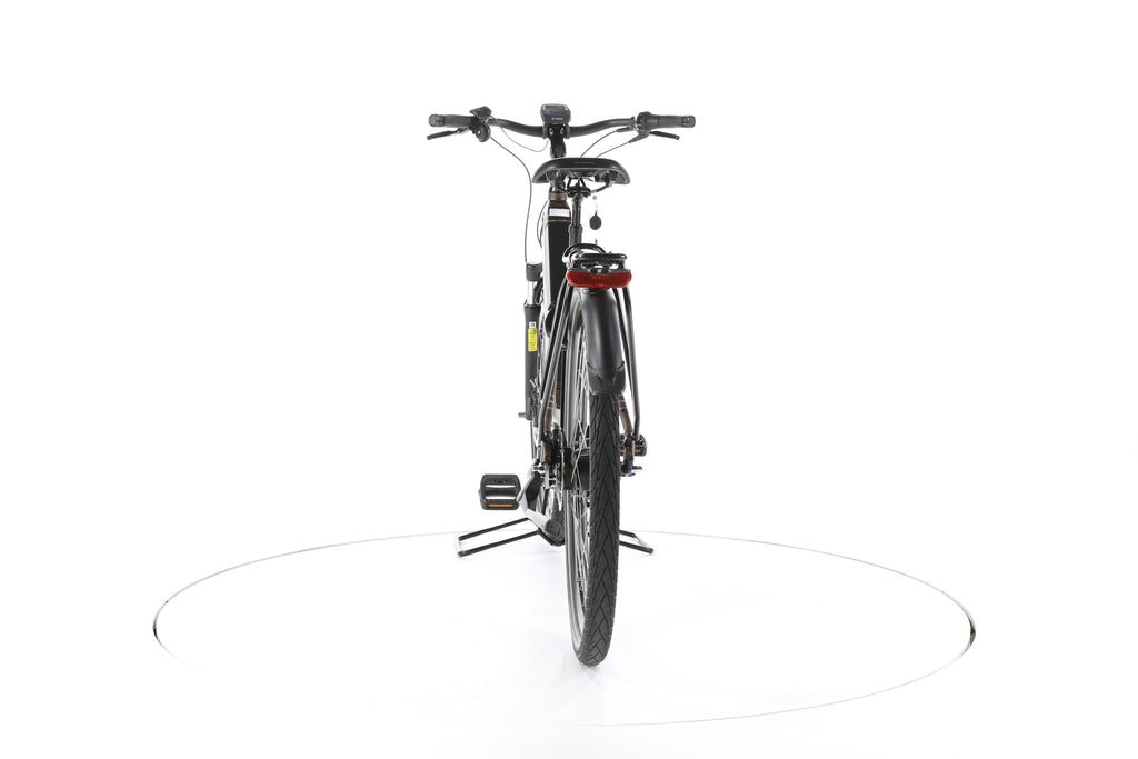 Raleigh Bristol XXL City E-Bike Tiefeinsteiger - Image 10