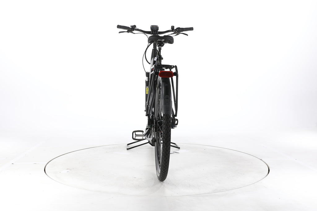 Hercules Roberta I-R8 Belt City E-Bike Tiefeinsteiger - Image 10