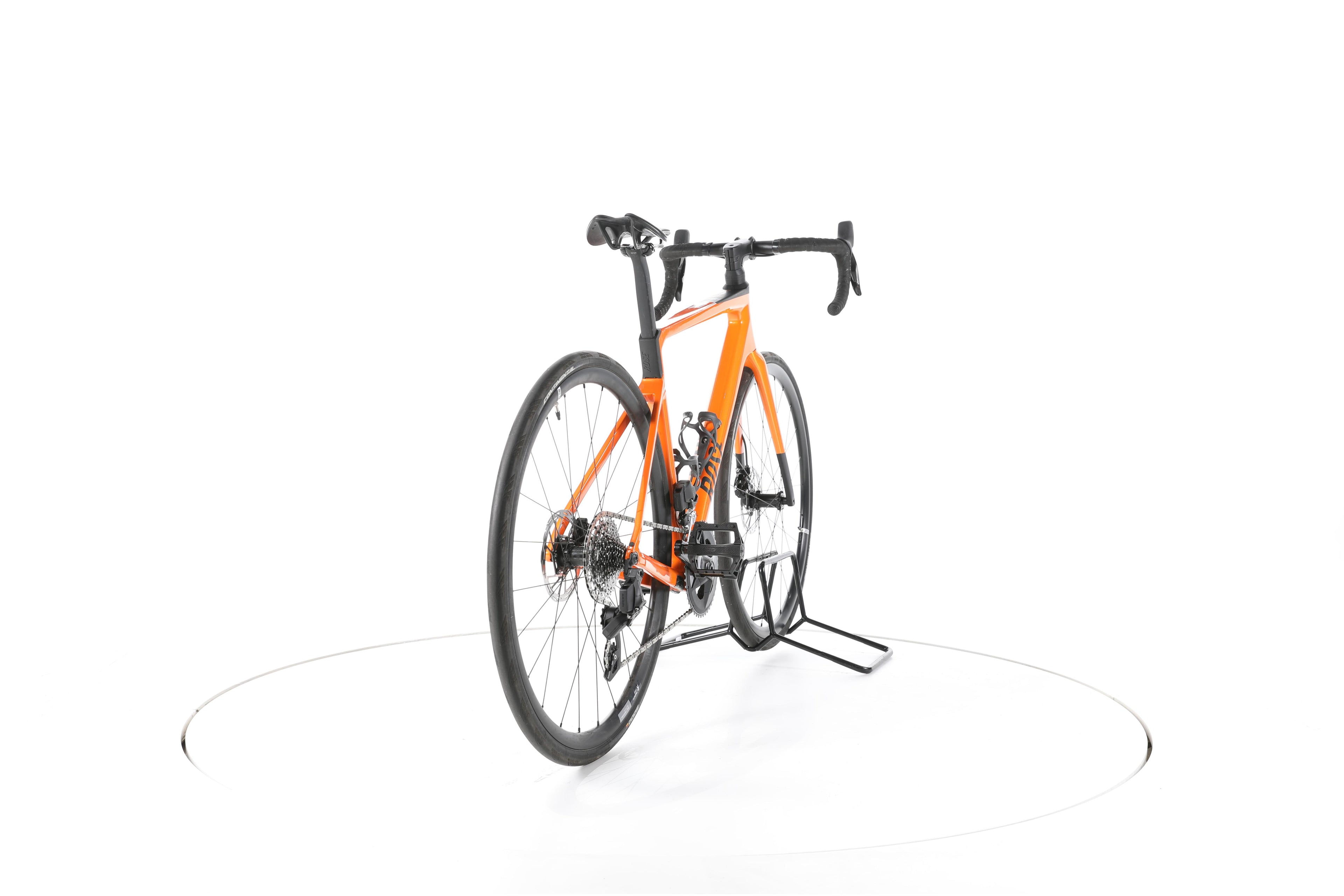 Rose Reveal 04 Rival AXS - Image 11