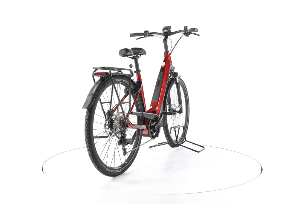 Pegasus Premio Evo 10 Lite Trekking E-Bike Tiefeinsteiger - Image 11
