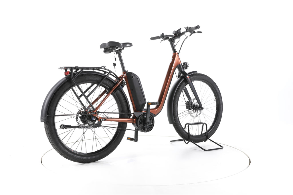 Victoria eUrban 11.8 City E-Bike Tiefeinsteiger - Image 12
