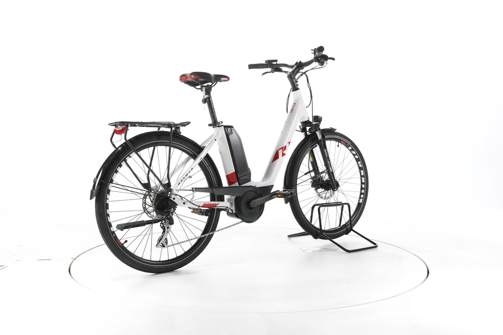 R Raymon CityRay E 1.0 City E-Bike Tiefeinsteiger - Image 12