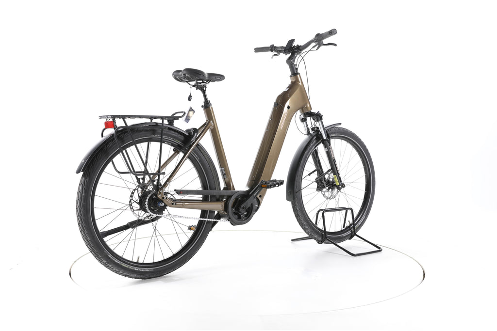HoheAcht Grand Amo Vilago City E-Bike Tiefeinsteiger - Image 12