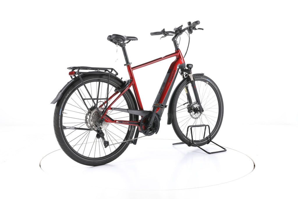 Pegasus Premio Evo 10 Lite Trekking E-Bike - Image 12