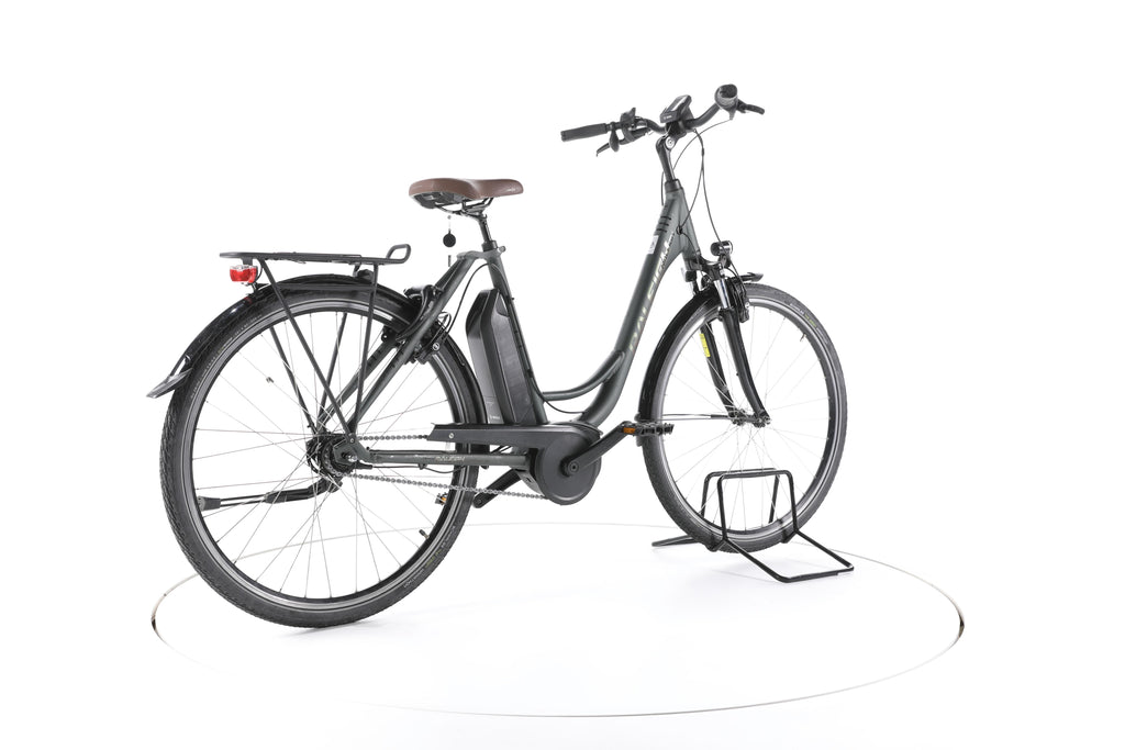 Raleigh Cardiff LB Plus Trekking E-Bike Tiefeinsteiger - Image 12
