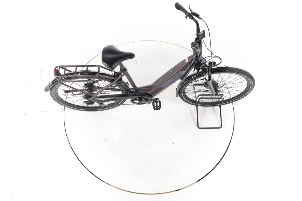 Pegasus Solero EVO 9 Trekking E-Bike Tiefeinsteiger - Image 13