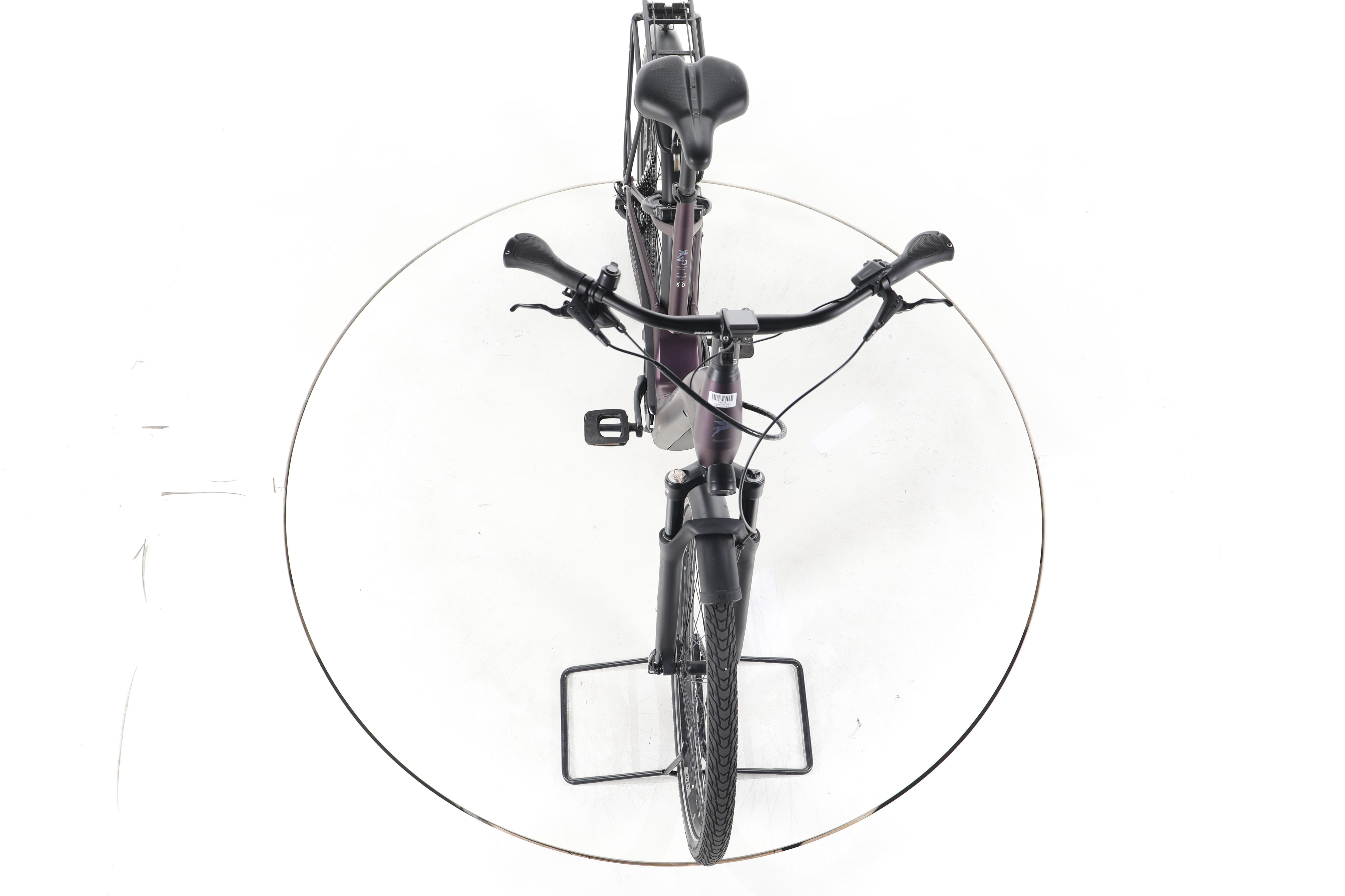 Pegasus Premio EVO 11 Trekking E-Bike Tiefeinsteiger - Image 16