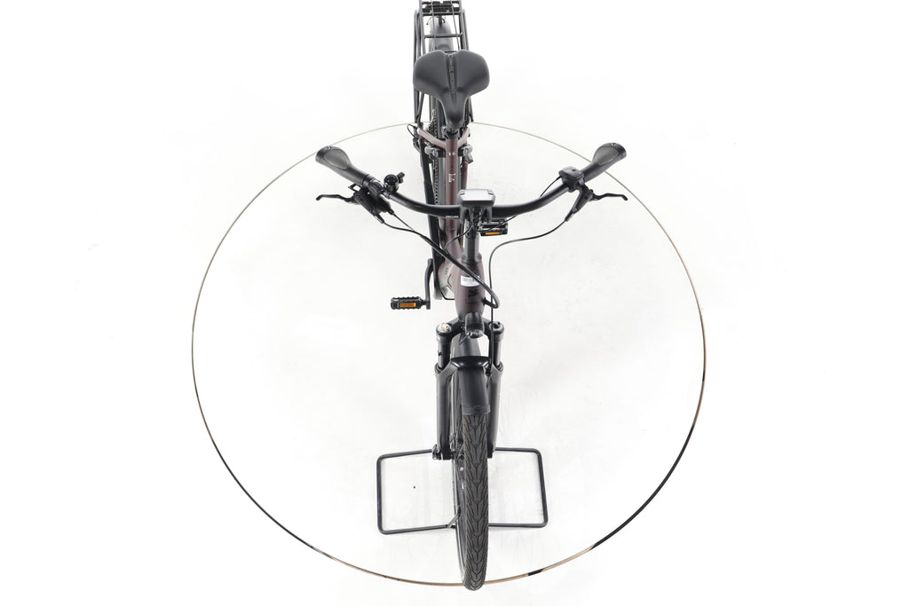 Pegasus Strong EVO 10 Lite Trekking E-Bike Tiefeinsteiger - Image 16