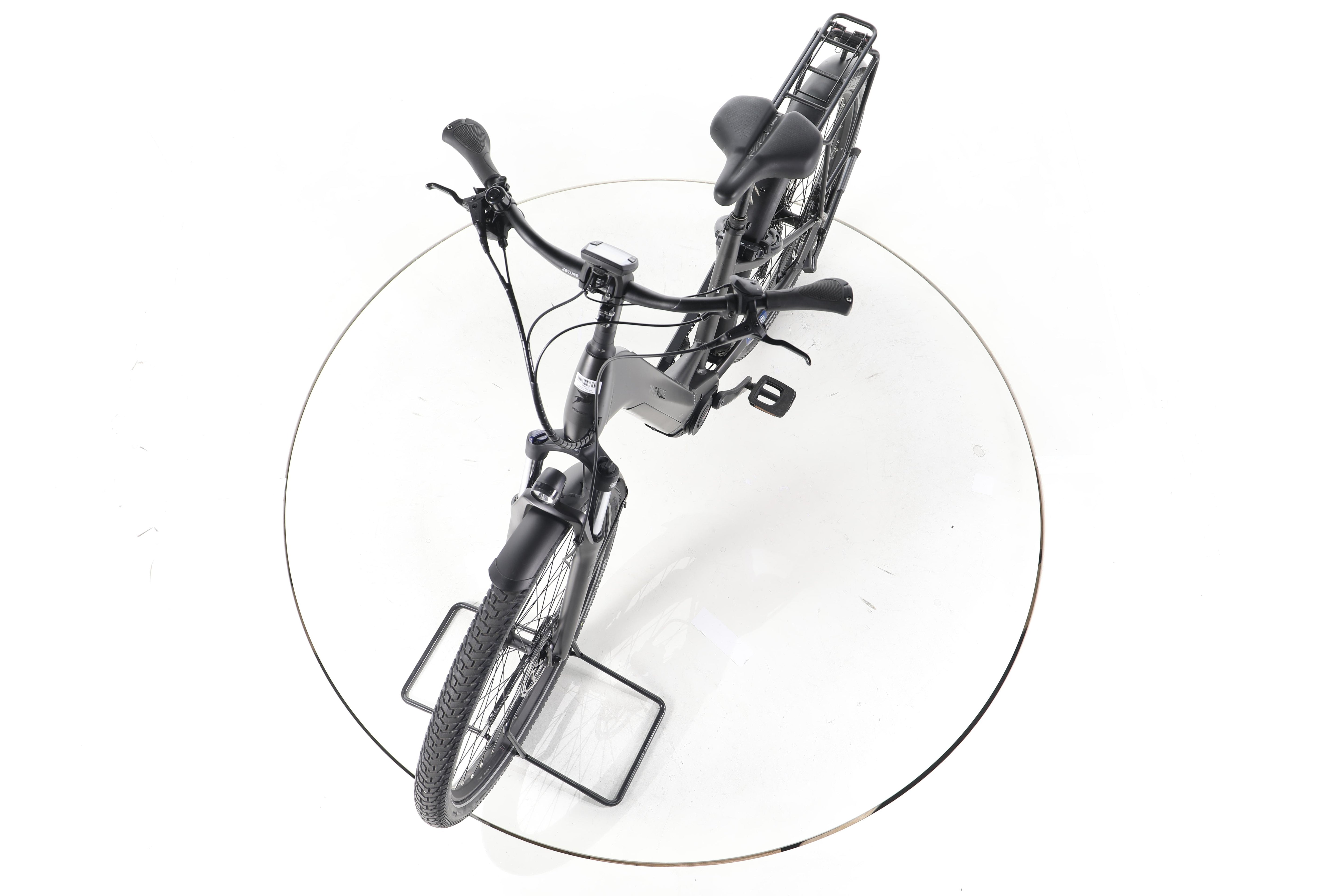 Pegasus Savino EVO 10 CX Trekking E-Bike Tiefeinsteiger - Image 17