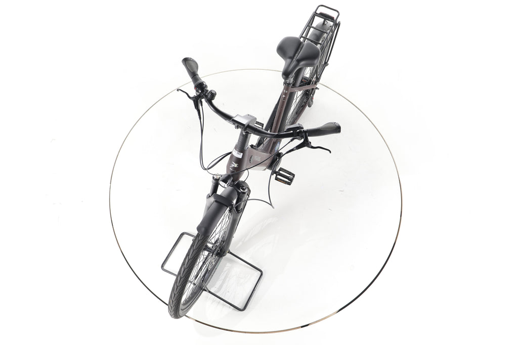 Pegasus Strong 5R City E-Bike Tiefeinsteiger 2024 - Image 17