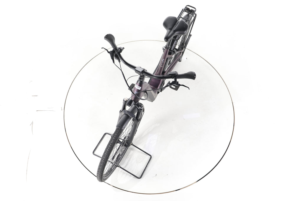 Pegasus Premio EVO 11 Trekking E-Bike Tiefeinsteiger - Image 17