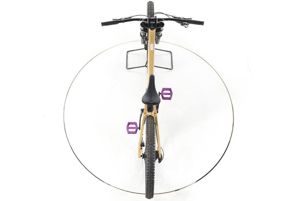 Rose Scrub DC 1 - Image 22