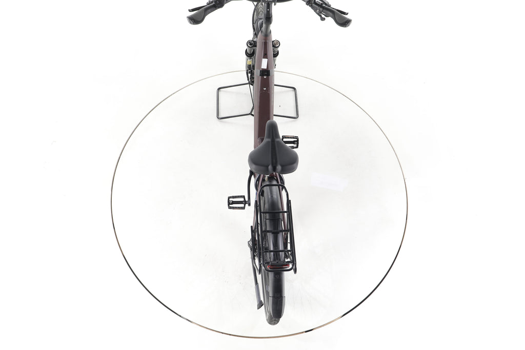 Pegasus Strong EVO 10 Lite Trekking E-Bike Tiefeinsteiger - Image 22