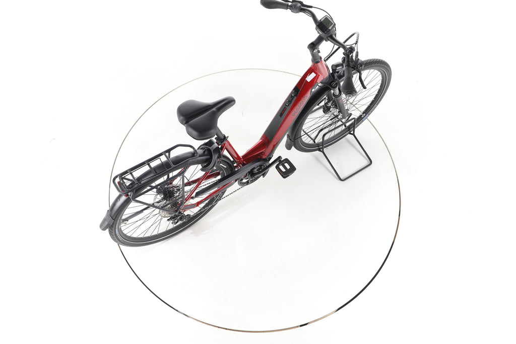 Pegasus Premio Evo 10 Lite Trekking E-Bike Tiefeinsteiger - Image 24