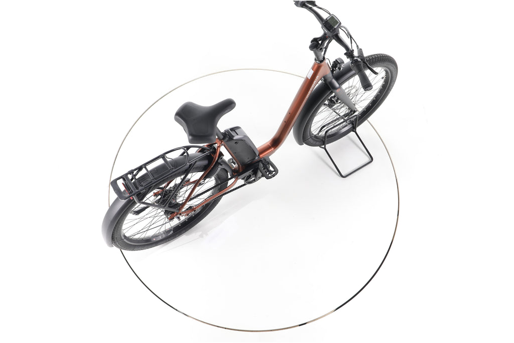 Victoria eUrban 11.8 City E-Bike Tiefeinsteiger - Image 24