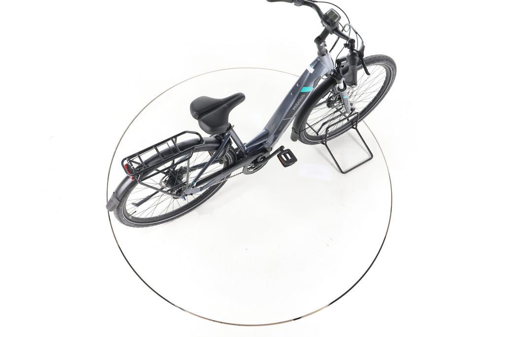 Pegasus Premio Evo 5 R Trekking E-Bike Tiefeinsteiger - Image 24